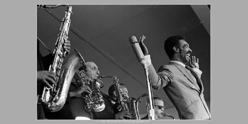 "Jazz Festival" image "Jazz Festival" image