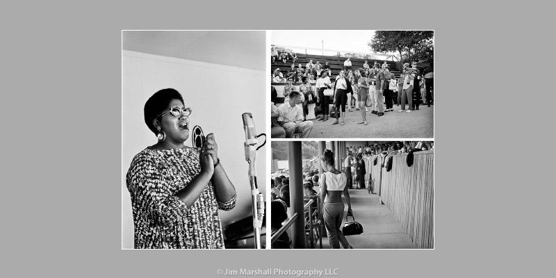 "Jazz Festival" image4 "Jazz Festival" image4