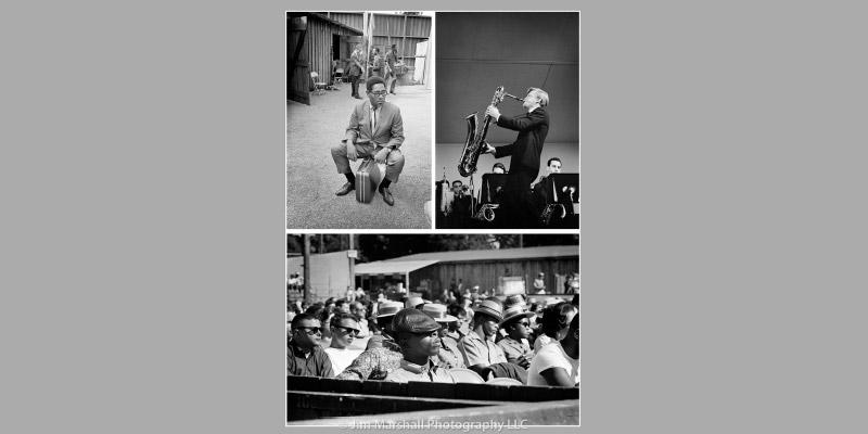 "Jazz Festival" image5 "Jazz Festival" image5